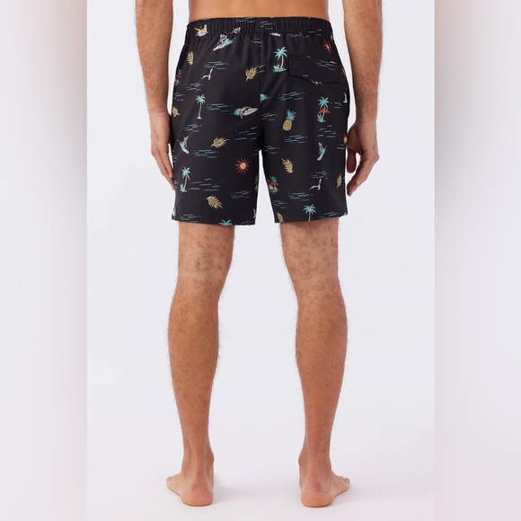 Burnside| Swim Volley Short - Picture 2 of 7